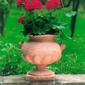 Bauchige Pflanzen Amphore aus Terracotta - Timoteo