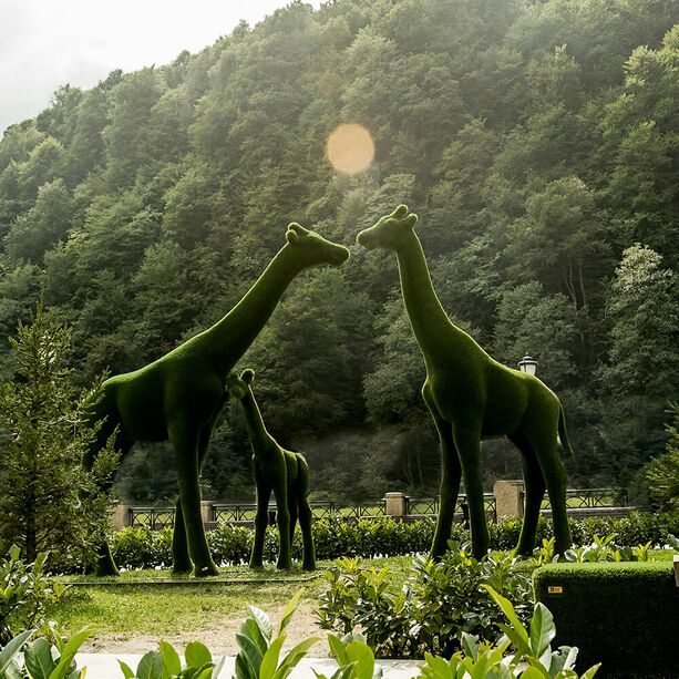 XXL Gartenskulptur Giraffe - lebensgro - Topiary - grn - Gustav