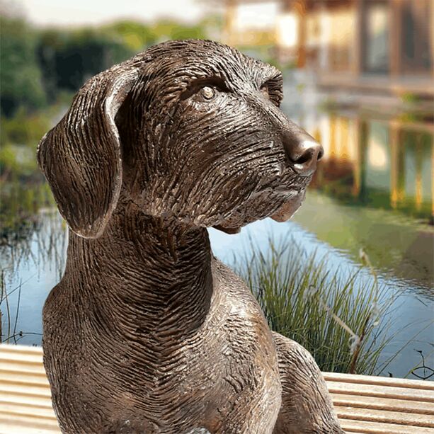 Lebengroe Hundefigur - Dackel aus Bronze - limitiert - Dackel Frodo