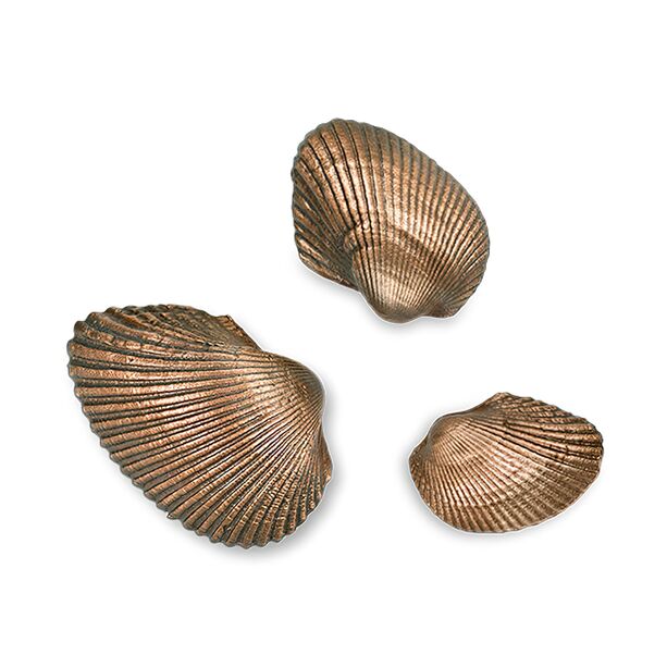 Muschel 2er Set aus Bronze oder Alu - Variationen - Muscheln