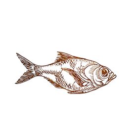 Fisch als Gartendeko aus Rost Metall - Piscis Ferrum