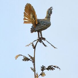 Auerhahn auf Ast - Gartenfigur aus Rost Stahl/Edelstahl -...