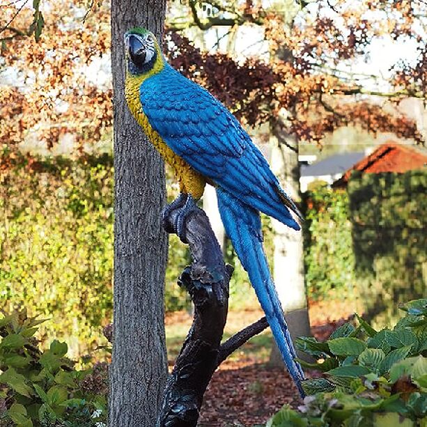 Blauer Ara auf Ast aus Bronze als Gartenskulptur - Papagei Tommi