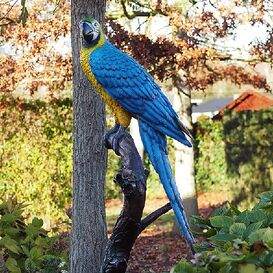 Blauer Ara auf Ast aus Bronze als Gartenskulptur -...