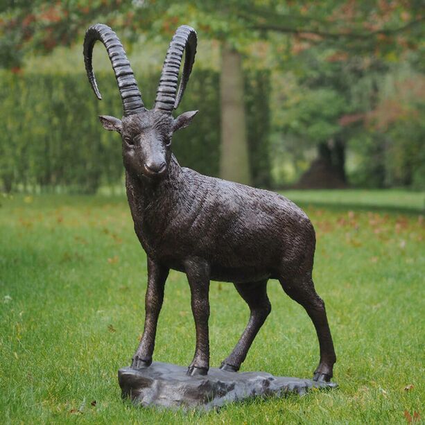 Stehender Steinbock auf Felsen - lebensgroe Bronze - Steinbock Sakel