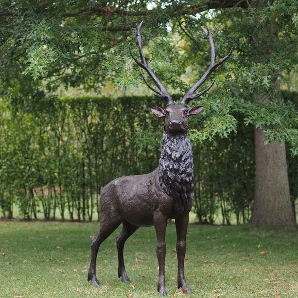 Hirsch mit Geweih als Garten Bronzeskulptur - Hirschbulle Hano