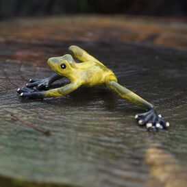 Bunte Froschfigur fr den Garten aus Bronze - Gelber Frosch