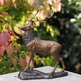 Deko Hirschskulptur als Gartenbronze - Hirsch Fredo