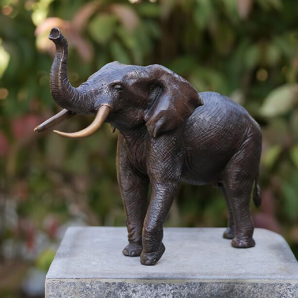 Elefanten Tierstatue aus Bronze als kleine Deko - Elefant Thilo
