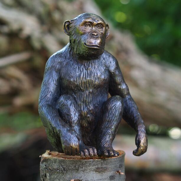 Sitzende Affenfigur aus Bronze - dunkelbraun - Poncha