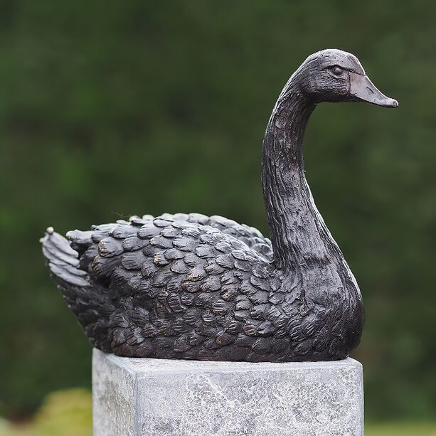 Schne Schwanenskulptur aus Bronze - Schwarzer Schwan