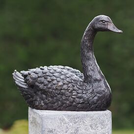 Schne Schwanenskulptur aus Bronze - Schwarzer Schwan