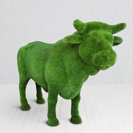 Groer Bulle Stehend - Gartenfigur Topiary - Angus