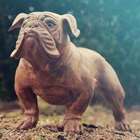 Stehende Dekofigur Bulldogge aus Suarholz -...