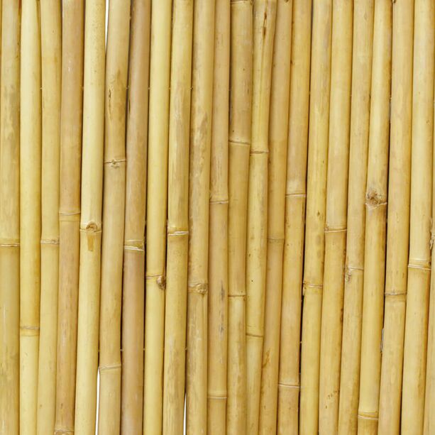 Flexibler Bambus Zaun als Sichtschutz fr den Garten - Tiara