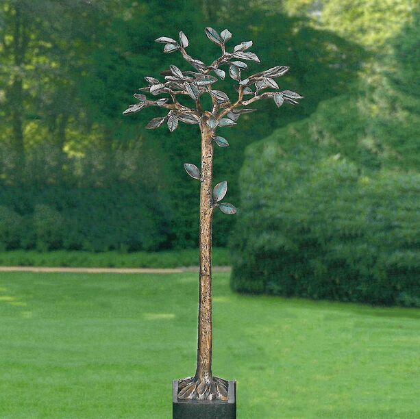 Schner Bronzebaum mit grnen Blttern fr den Garten - Bavora