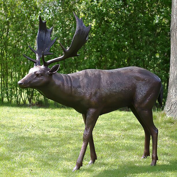 Junger Hirschbulle als Garten Bronzeskulptur - Lebensgre - Hirsch Mera