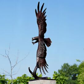 Fliegender Adler aus Bronzeguss in Lebensgre - Flying...