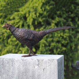 Lebensgroer Fasan luft - Vogelskulptur aus Bronze fr...