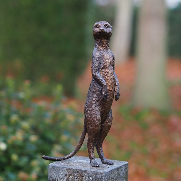 Stehendes Erdmnnchen wacht - Besondere Bronzefigur - Erdmnnchen Wido