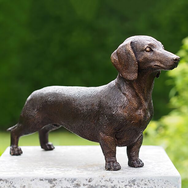 Brauner Dachshund in Lebensgre stehend aus Bronzeguss - Dachshund Fredo