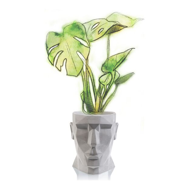 Mann Kopf Blumentopf aus Beton - modern - Apollo Design - Moholy / 15,5x11x15cm (HxBxT) / ohne Farbe