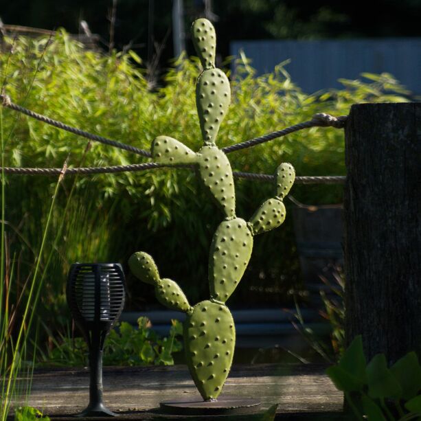 Imposanter grner Wsten Kaktus aus Eisen - Fayola M