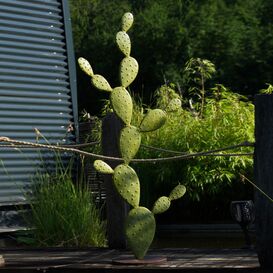 XL Kaktus Gewchs aus Metall fr stilvolle Dekoration -...