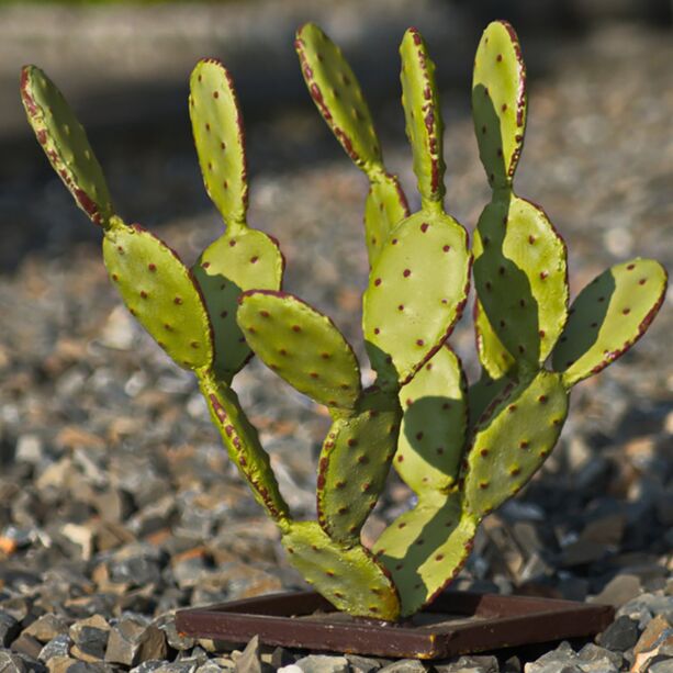Kleiner grner Eisen Kaktus fr Wstendekoration - Shaquan