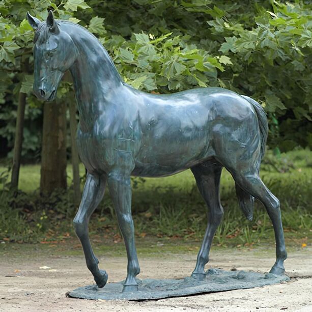 Große Bronze Statue mit Pferd  - Don Camero