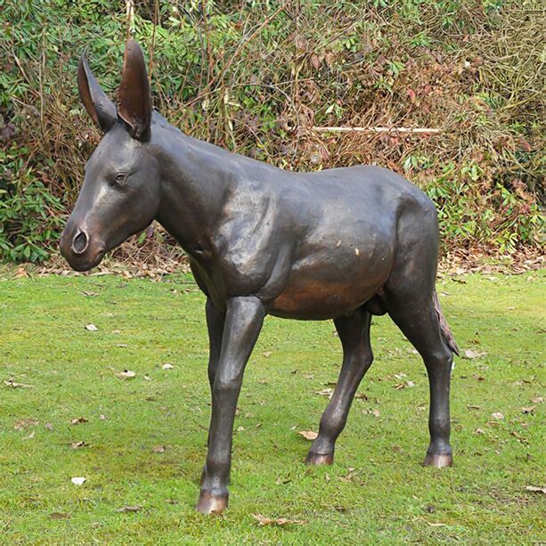 Große Garten Esel Skulptur aus Bronze - Fritz