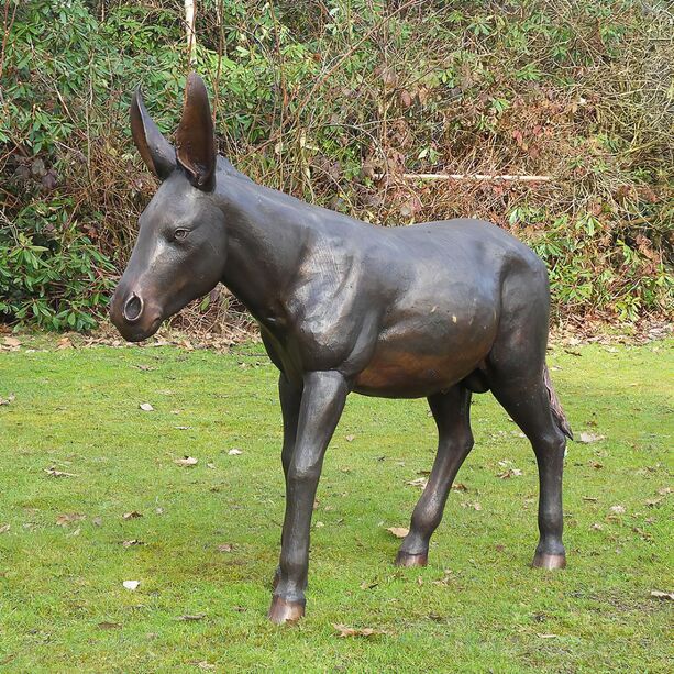 Große Garten Esel Skulptur aus Bronze - Fritz