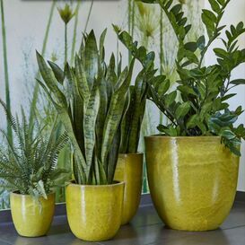 4er Set Outdoor Blumenk�bel aus Keramik - Limette - Literro